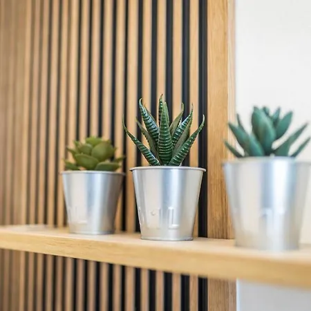 I & I Apart, Garage - Historical Old Town 布拉迪斯拉发