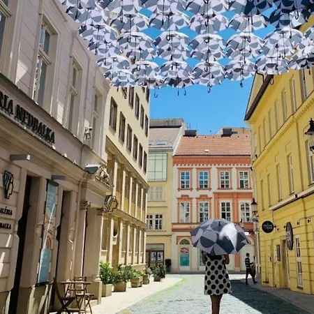 I & I Apart, Garage - Historical Old Town 公寓 布拉迪斯拉发